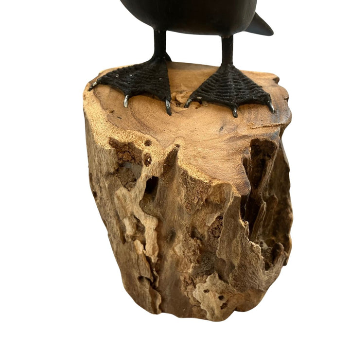 Cormorant on top of Driftwood Stand