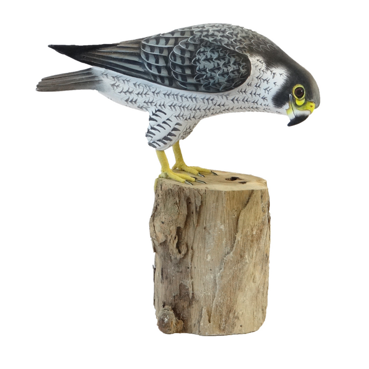 Peregrine Falcon Bird Ornament