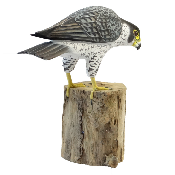 Peregrine Falcon Bird Model