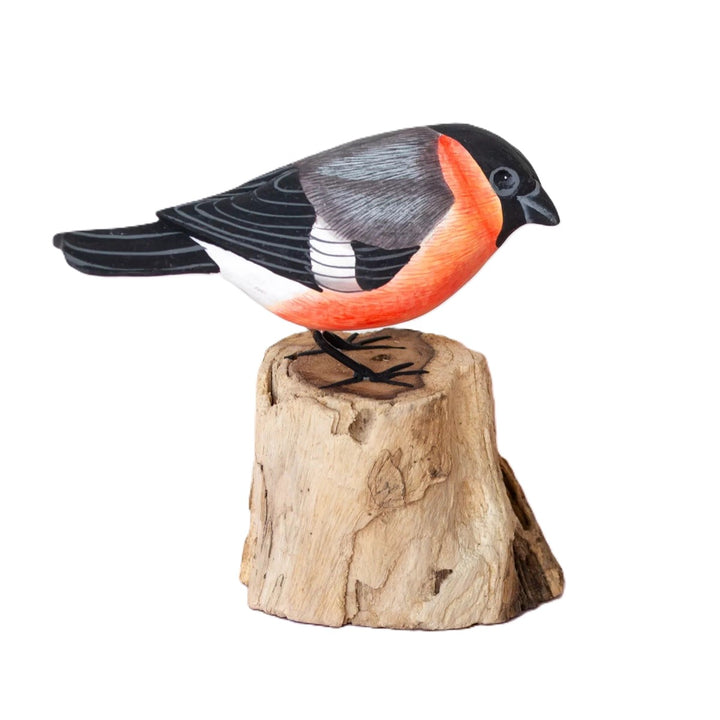 Bullfinch Bird Model