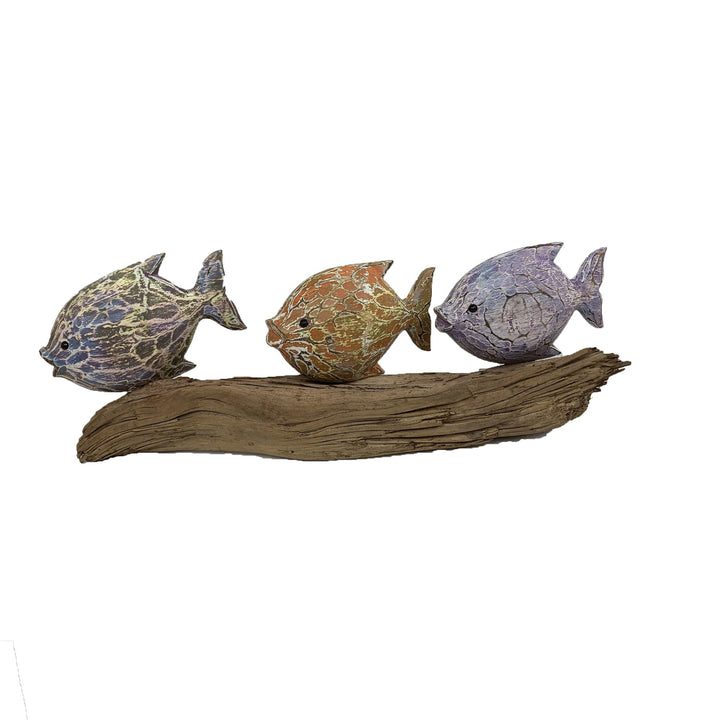 3 Colourful Fish Models on Driftwood