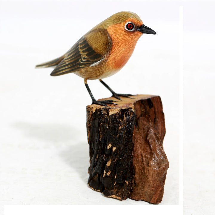 Robin Bird Model