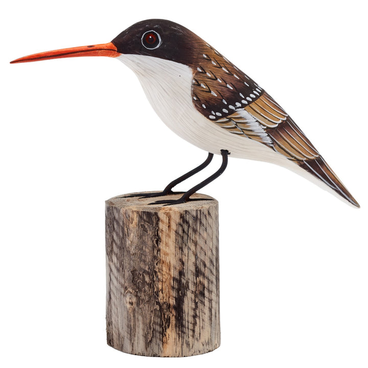 Treecreeper Bird Model
